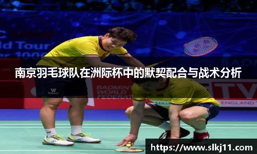 南京羽毛球队在洲际杯中的默契配合与战术分析